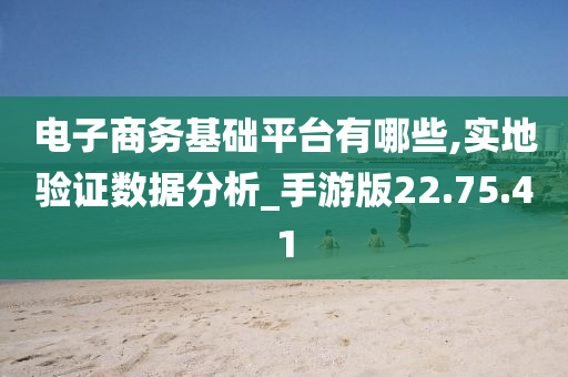 电子商务基础平台有哪些,实地验证数据分析_手游版22.75.41