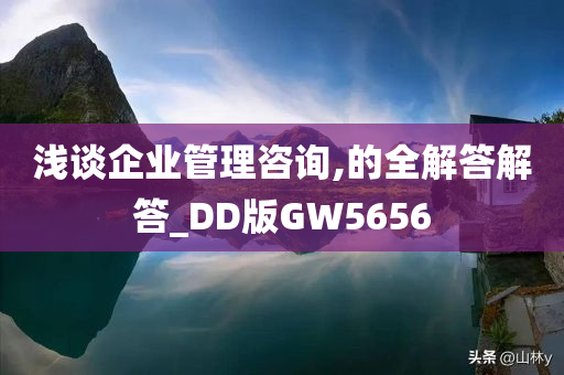 浅谈企业管理咨询,的全解答解答_DD版GW5656