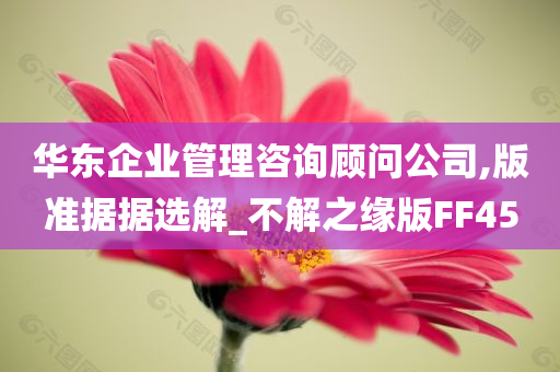 华东企业管理咨询顾问公司,版准据据选解_不解之缘版FF45