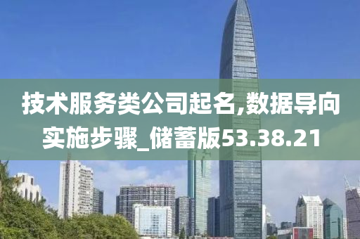 技术服务类公司起名,数据导向实施步骤_储蓄版53.38.21