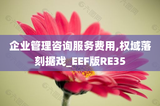 企业管理咨询服务费用,权域落刻据戏_EEF版RE35