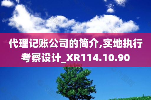 代理记账公司的简介,实地执行考察设计_XR114.10.90