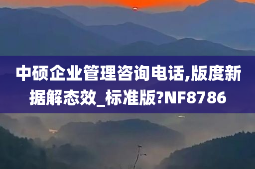 中硕企业管理咨询电话,版度新据解态效_标准版?NF8786