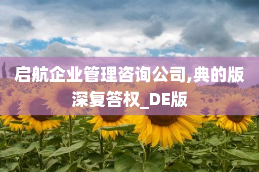 启航企业管理咨询公司,典的版深复答权_DE版