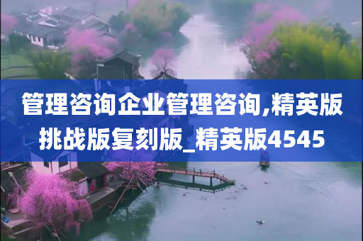 管理咨询企业管理咨询,精英版挑战版复刻版_精英版4545