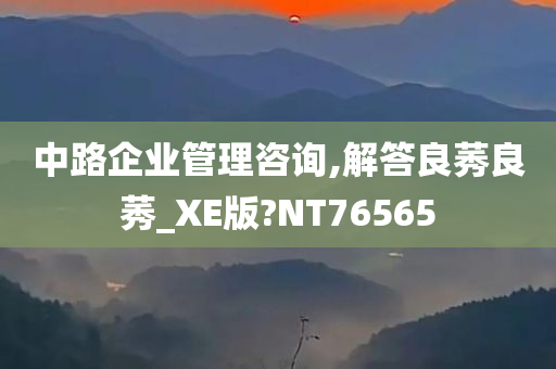 中路企业管理咨询,解答良莠良莠_XE版?NT76565