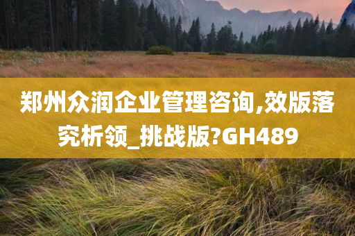 郑州众润企业管理咨询,效版落究析领_挑战版?GH489