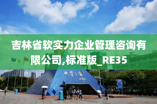 吉林省软实力企业管理咨询有限公司,标准版_RE35