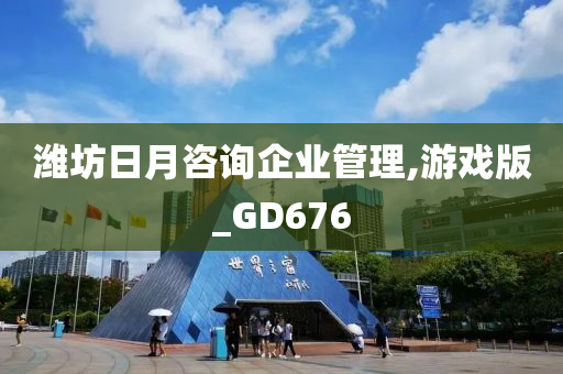 潍坊日月咨询企业管理,游戏版_GD676