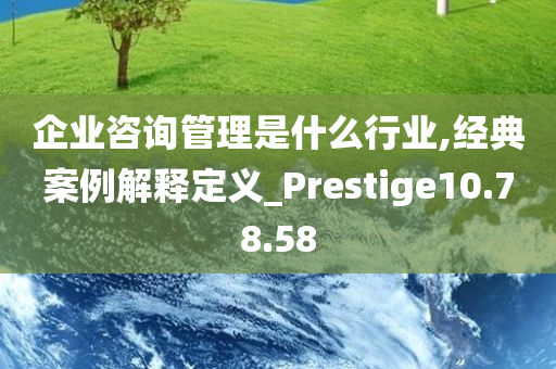 企业咨询管理是什么行业,经典案例解释定义_Prestige10.78.58