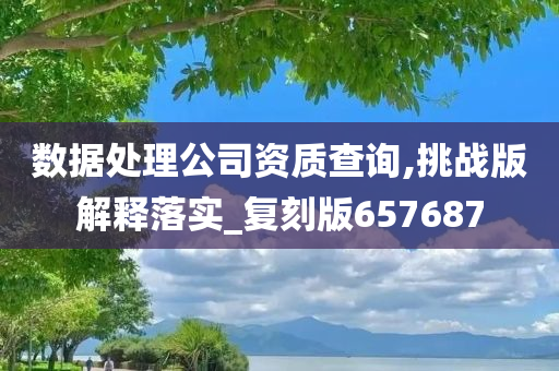 数据处理公司资质查询,挑战版解释落实_复刻版657687