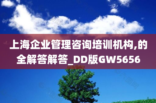 上海企业管理咨询培训机构,的全解答解答_DD版GW5656