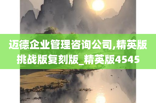 迈德企业管理咨询公司,精英版挑战版复刻版_精英版4545