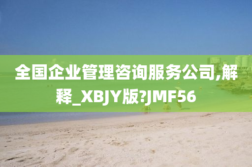 全国企业管理咨询服务公司,解释_XBJY版?JMF56