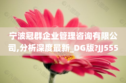 宁波冠群企业管理咨询有限公司,分析深度最新_DG版?JJ555