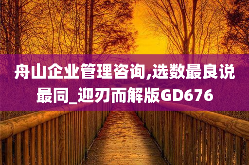 舟山企业管理咨询,选数最良说最同_迎刃而解版GD676