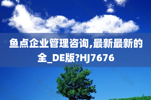 鱼点企业管理咨询,最新最新的全_DE版?HJ7676