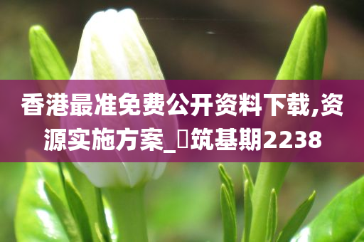 香港最准免费公开资料下载,资源实施方案_‌筑基期2238