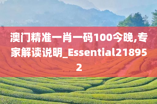 澳门精准一肖一码100今晚,专家解读说明_Essential218952