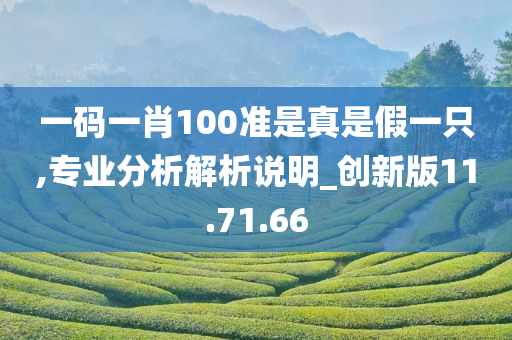 一码一肖100准是真是假一只,专业分析解析说明_创新版11.71.66