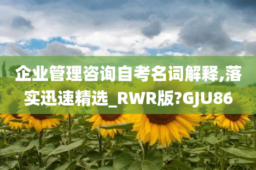 企业管理咨询自考名词解释,落实迅速精选_RWR版?GJU86