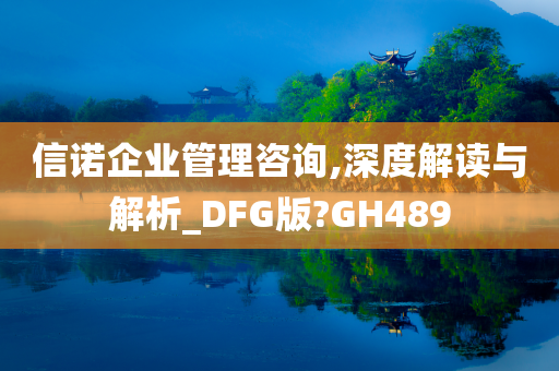 信诺企业管理咨询,深度解读与解析_DFG版?GH489