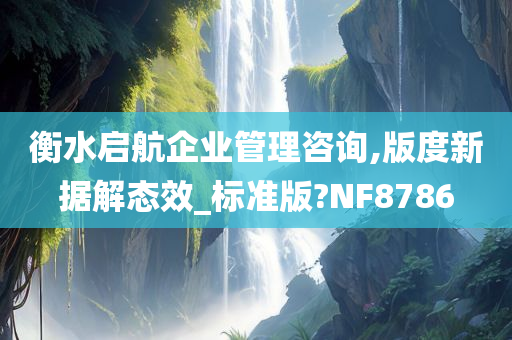 衡水启航企业管理咨询,版度新据解态效_标准版?NF8786