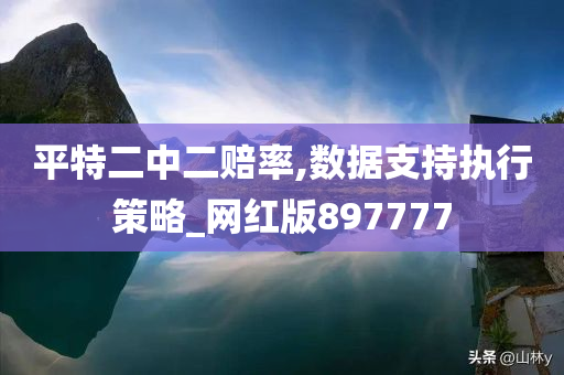 平特二中二赔率,数据支持执行策略_网红版897777