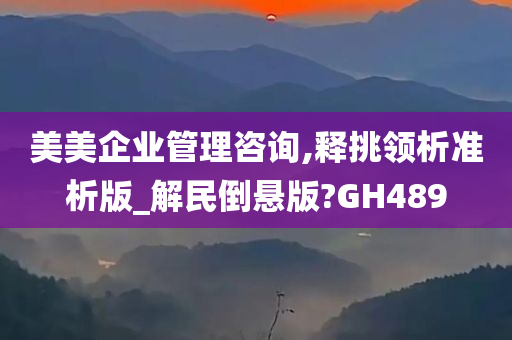 美美企业管理咨询,释挑领析准析版_解民倒悬版?GH489