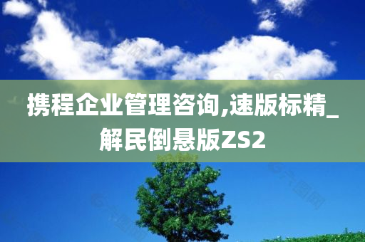 携程企业管理咨询,速版标精_解民倒悬版ZS2