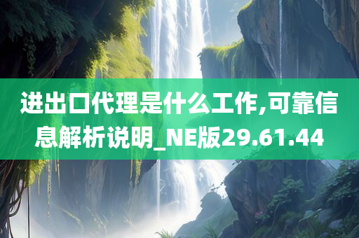 进出口代理是什么工作,可靠信息解析说明_NE版29.61.44