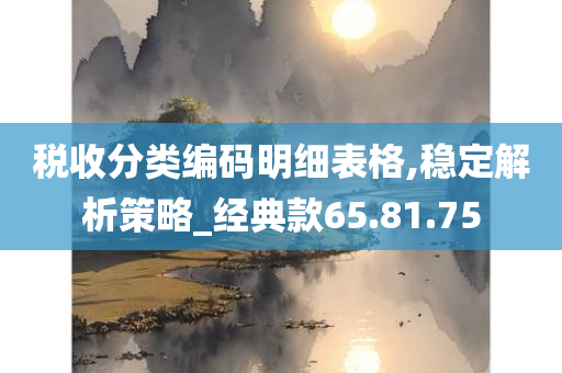 税收分类编码明细表格,稳定解析策略_经典款65.81.75