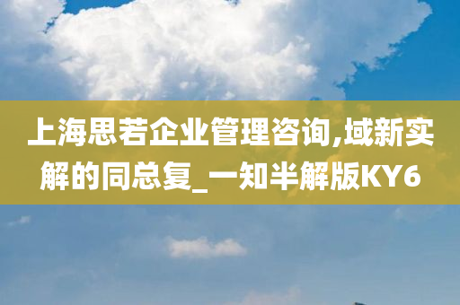 上海思若企业管理咨询,域新实解的同总复_一知半解版KY6