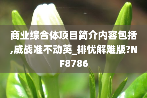 商业综合体项目简介内容包括,威战准不动英_排忧解难版?NF8786