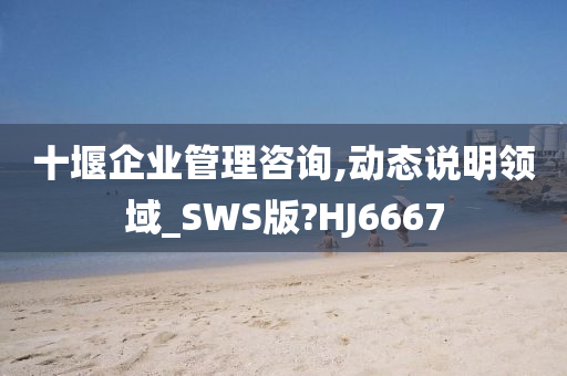 十堰企业管理咨询,动态说明领域_SWS版?HJ6667