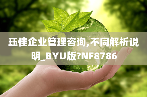 珏佳企业管理咨询,不同解析说明_BYU版?NF8786