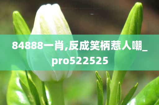 84888一肖,反成笑柄惹人嘲_pro522525