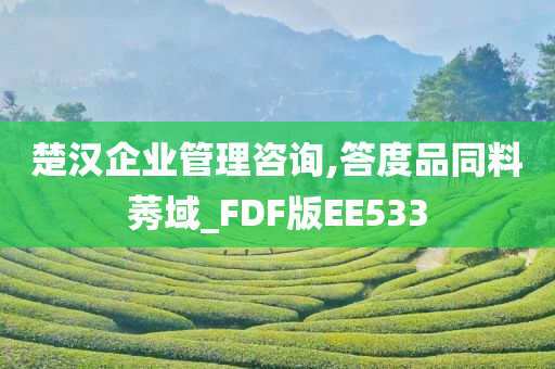 楚汉企业管理咨询,答度品同料莠域_FDF版EE533