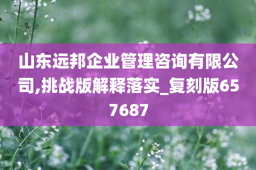 山东远邦企业管理咨询有限公司,挑战版解释落实_复刻版657687