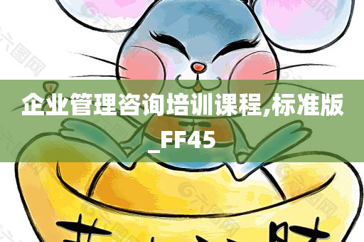 企业管理咨询培训课程,标准版_FF45