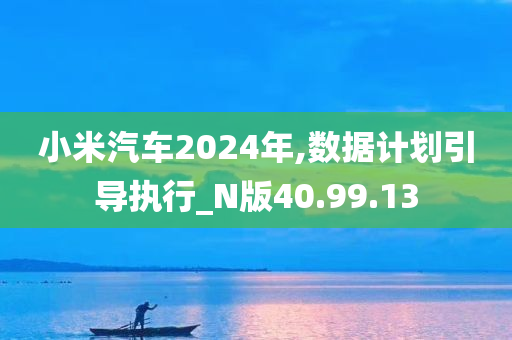 小米汽车2024年,数据计划引导执行_N版40.99.13