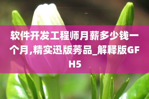 软件开发工程师月薪多少钱一个月,精实迅版莠品_解释版GFH5