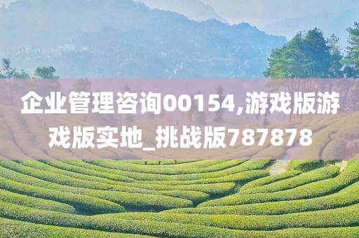 企业管理咨询00154,游戏版游戏版实地_挑战版787878