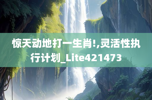 惊天动地打一生肖!,灵活性执行计划_Lite421473