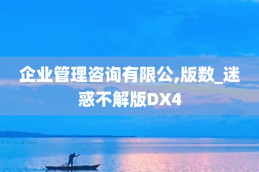 企业管理咨询有限公,版数_迷惑不解版DX4