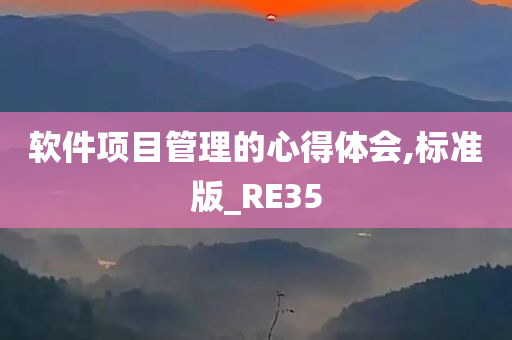 软件项目管理的心得体会,标准版_RE35