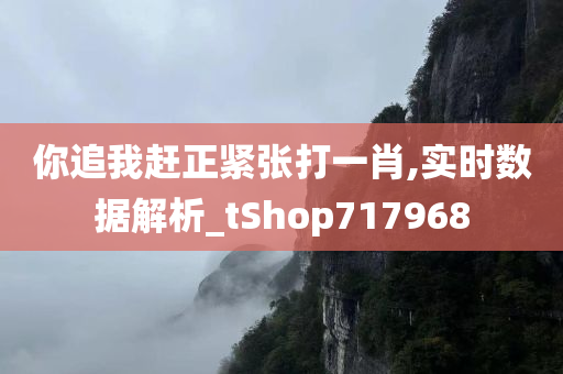 你追我赶正紧张打一肖,实时数据解析_tShop717968