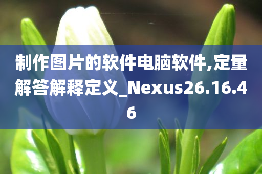 制作图片的软件电脑软件,定量解答解释定义_Nexus26.16.46