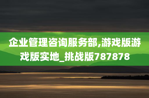 企业管理咨询服务部,游戏版游戏版实地_挑战版787878