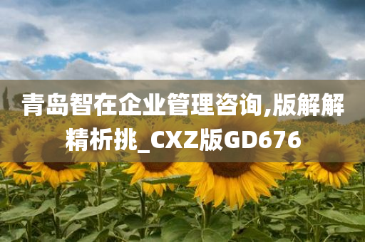 青岛智在企业管理咨询,版解解精析挑_CXZ版GD676